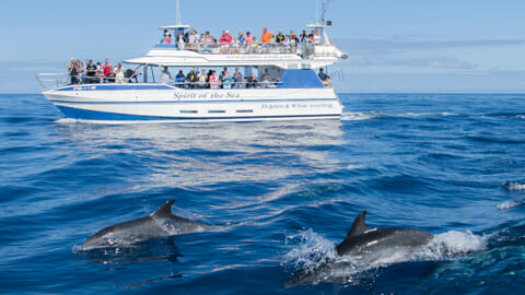 reservas spirit of the sea